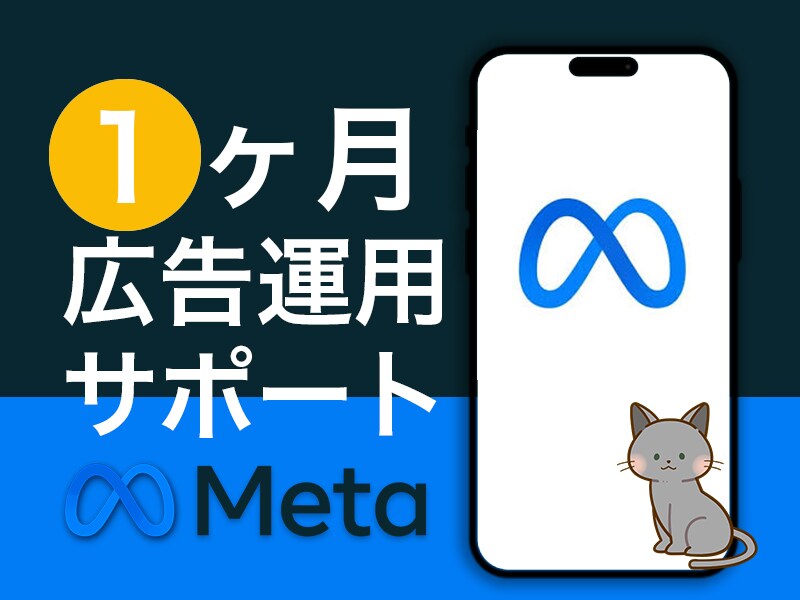 Meta広告1ヵ月運用代行します 広告代理店出身者⭐︎1ヶ月間サポート付き イメージ1