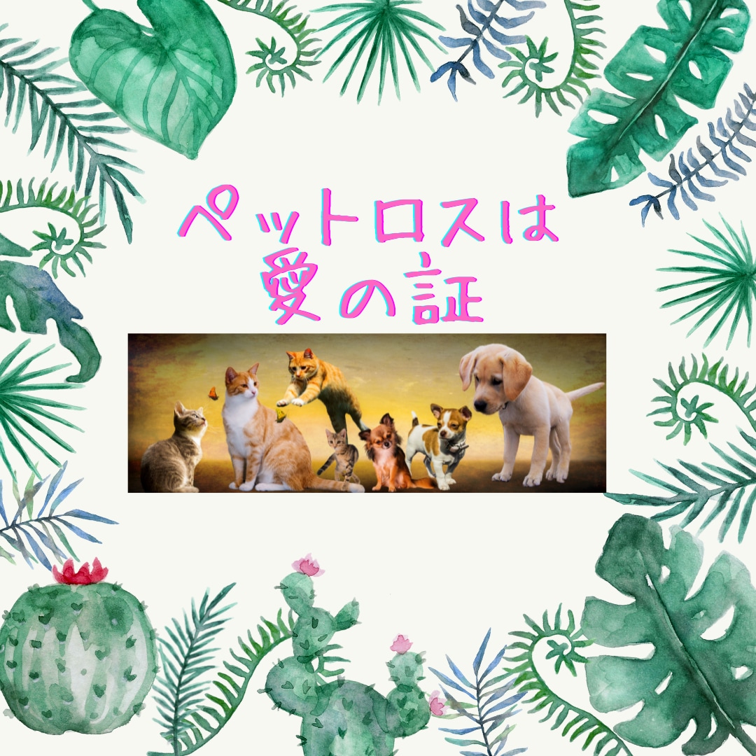 ペットロスの悲しみに寄り添います 喪失の悲しみを出会えた感謝に変えませんか。 イメージ2