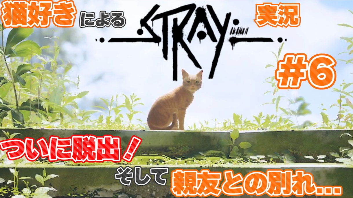 格安で見やすく、面白い動画を作ります 細かく丁寧にかつ、大胆に面白く編集します イメージ5