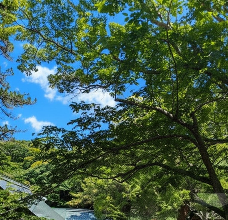 あなたの心に寄り添い、感情整理のお手伝いをします あなたのペースで大丈夫です♡お話をお聴かせください。 イメージ1
