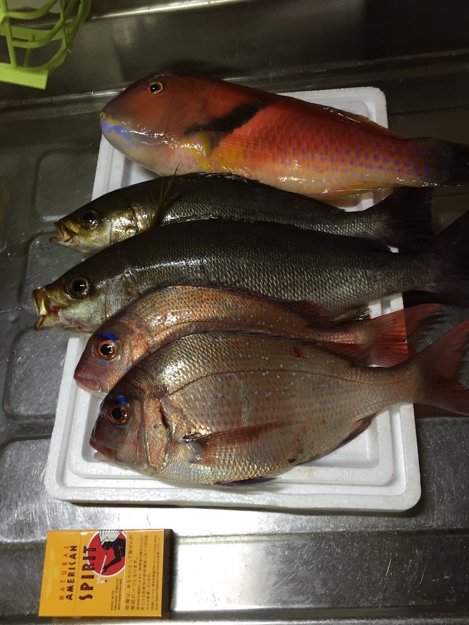 初心者専門〜初めての釣りを完全サポートします 専門用語は使いません！ゼロからの釣りデビューを応援します！ イメージ1