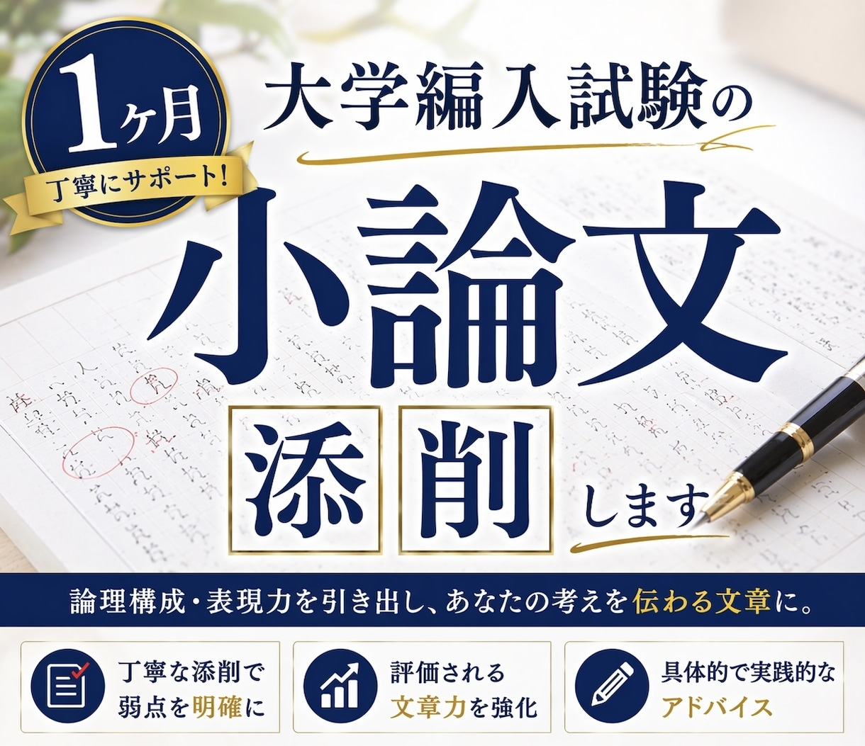 1ヶ月　大学編入試験の「小論文」を丁寧に添削します 【1ヶ月】京大編入試験合格者が大学編入「小論文」を添削します イメージ1
