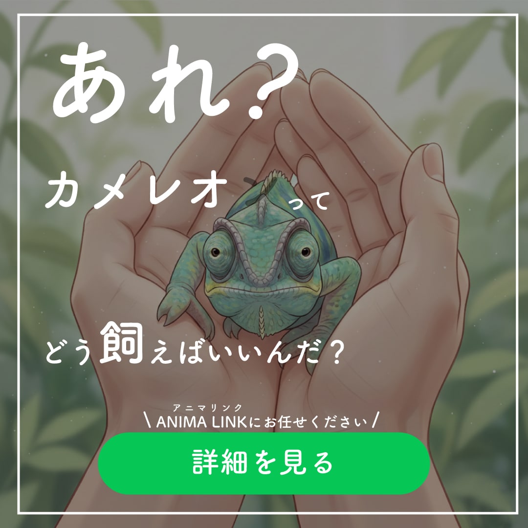 世界観のあるInstagram広告制作します 高級感・コンセプト重視、親しみやすいバナーまで幅広く対応 イメージ7