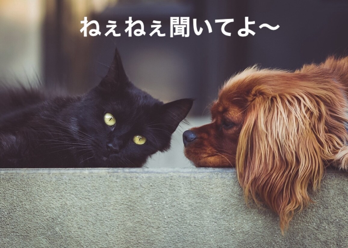 どんな話でも1分〜でもOK！お話聞きます お友達感覚でご気軽にどうぞ　なかなか人に話せない悩みなど イメージ4