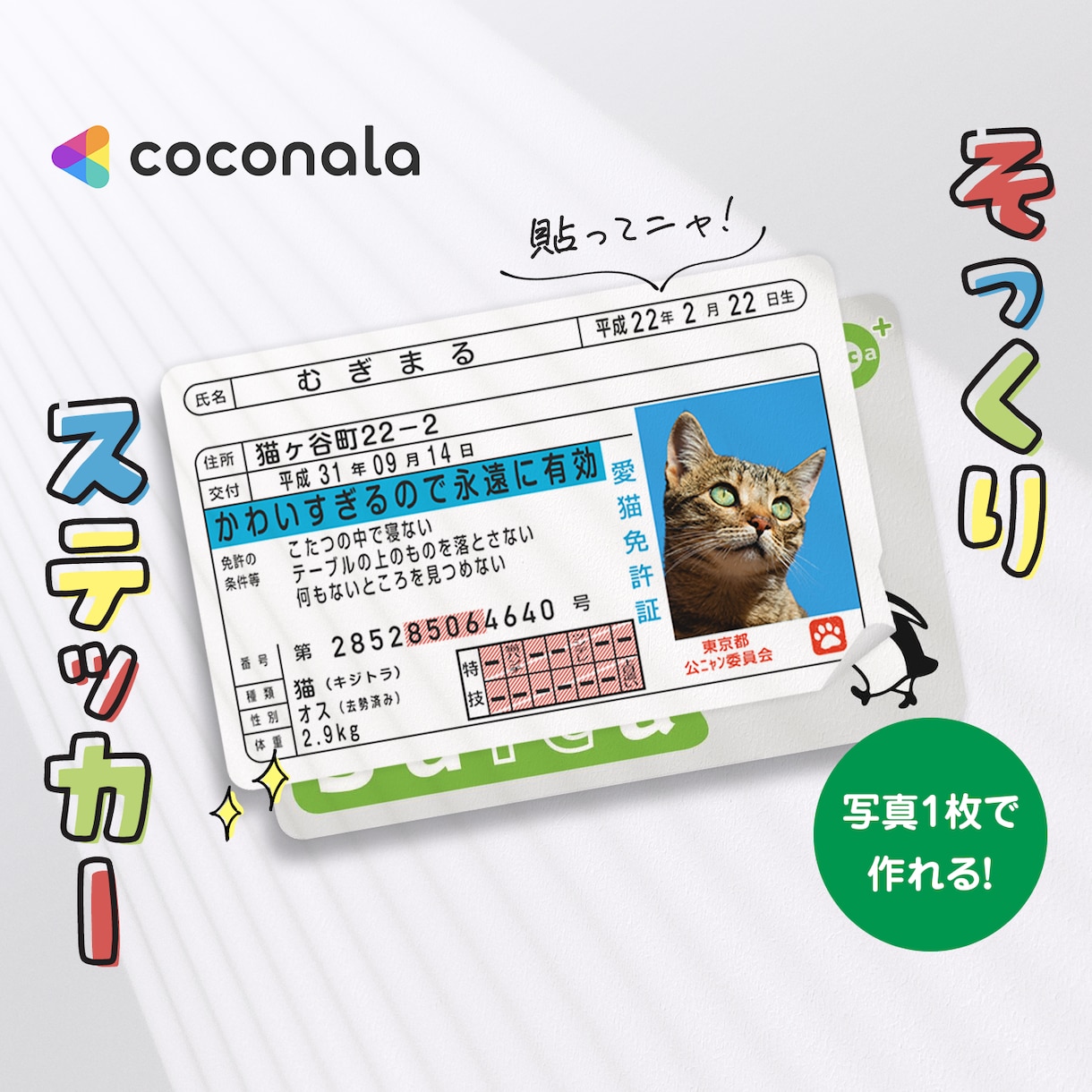 運転免許証そっくりなICカードステッカー作ります ペットの写真で作って、Suicaなどに貼っちゃおう！ イメージ1