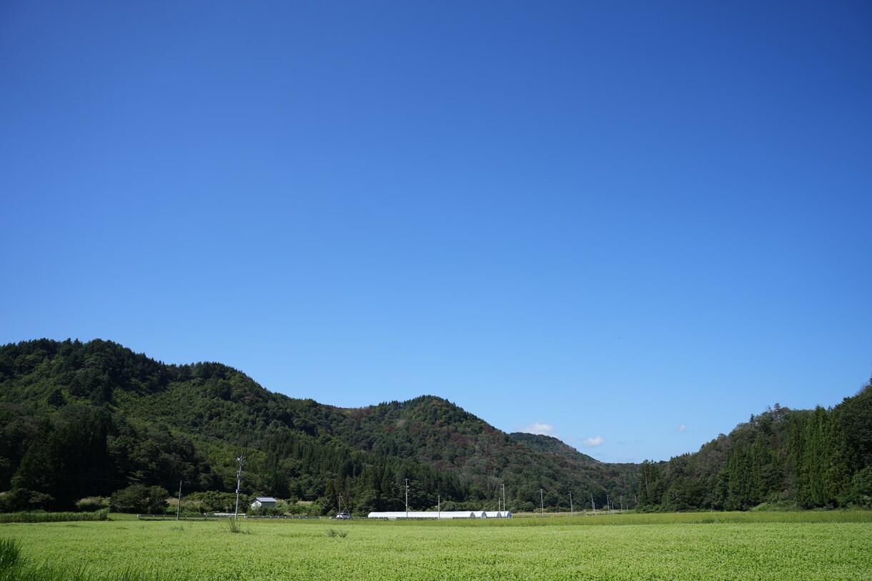 写真お届けします 注文に寄り添って対応させていただきます。 イメージ2