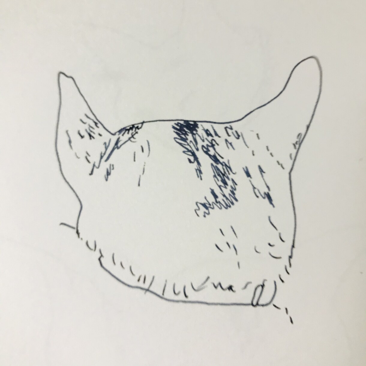 色んな猫　描きます ご自身のペット似顔絵・アイコン、猫好きの方に♡ イメージ4