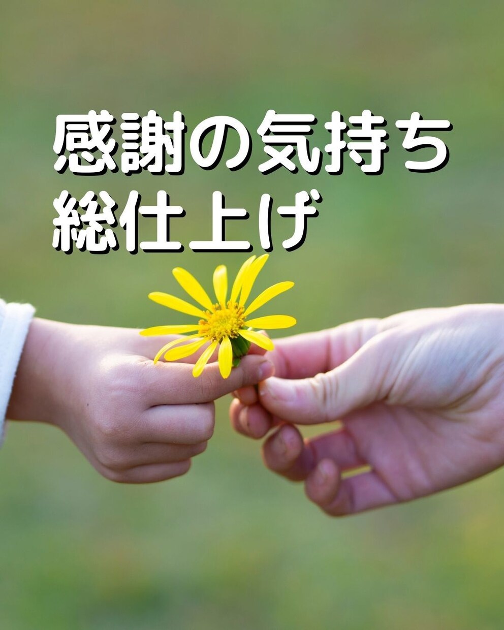 高齢ご家族を抱えた家族の悩み聴きます 後悔の無い看取りを目指す家族の想い、現役医療経営士が汲みます イメージ5
