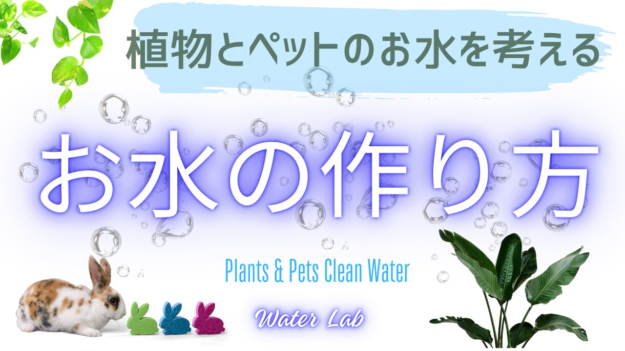 ペットのプロが制作！ペット専門広告作成します ペット業界26年犬、猫、小動物に特化した広告デザイン イメージ6