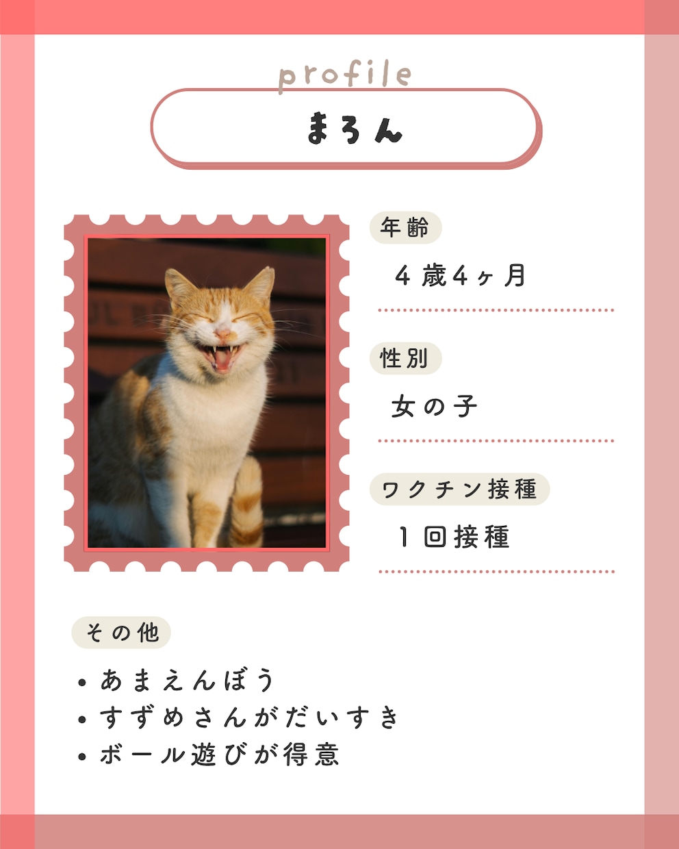 猫instagramの投稿や広告画像制作します ねこに特化！イメージに寄り添い丁寧にデザイン制作いたします！ イメージ5