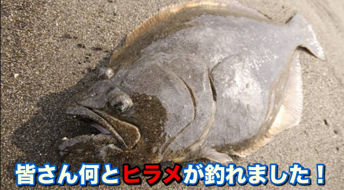 動画編集！カット編集！テロップ編集出来ます 動画編集カット及びテロップ入力出来ます！文字種類も多数 イメージ1
