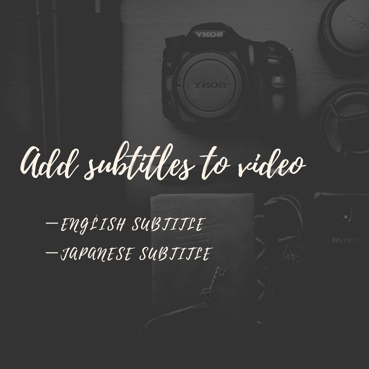 動画字幕の翻訳をいたします Add subtitles to your video イメージ1