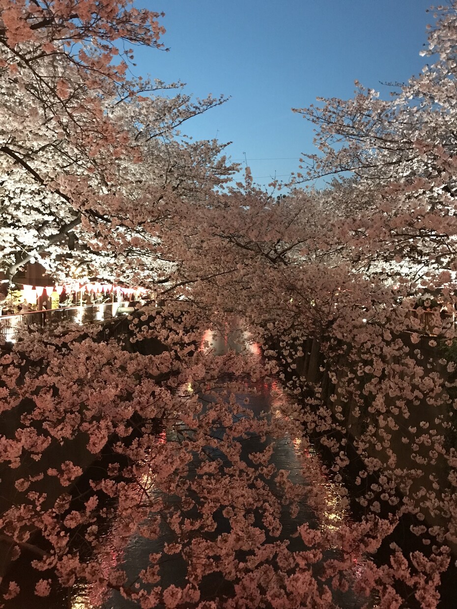 気をつかわなくていい相手だと話しやすくなります １千人以上の悩み事をきいてきた経験があなたの癒しとなります イメージ8