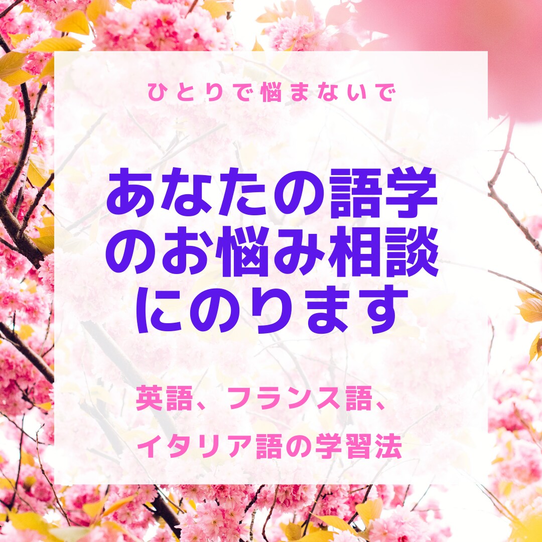 語学学習のお悩み相談受けたまわります 様々な言語を学んだ経験で効率的な学習法のアドバイスもします。 イメージ1