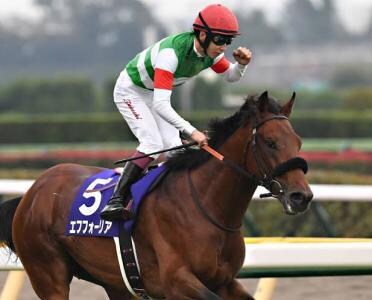 ダービー２頭出し１口馬主が推奨馬５頭を教えます 一口馬主で勝てる馬をキャロット・東サラの２クラブ限定で推奨！ イメージ1