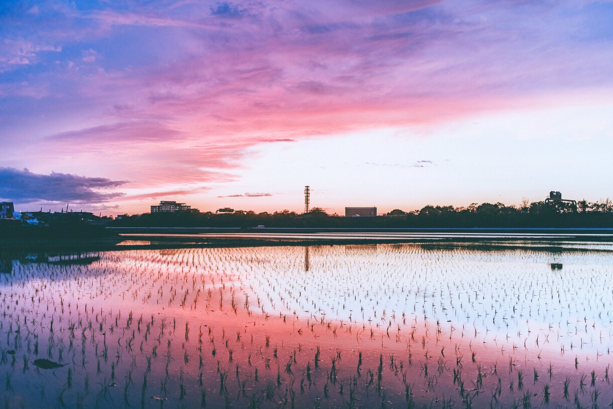 SNS、HP用写真を撮影、加工いたします 宣材写真、ポートレート、風景等、気軽に相談ください イメージ2