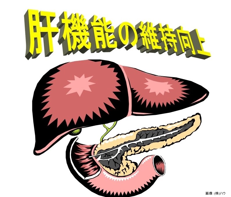 デトックスの一つ、コーヒーエネマの説明をします コーヒーエネマのノウハウをお教えします。 イメージ5