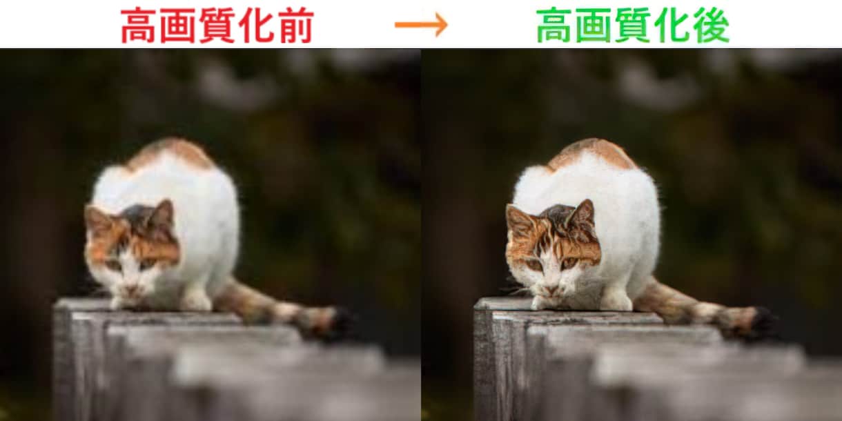 画像や動画などをAI技術による拡大で高画質化します 動画や画像をAI技術を使って拡大高画質化やノイズ除去致します イメージ4