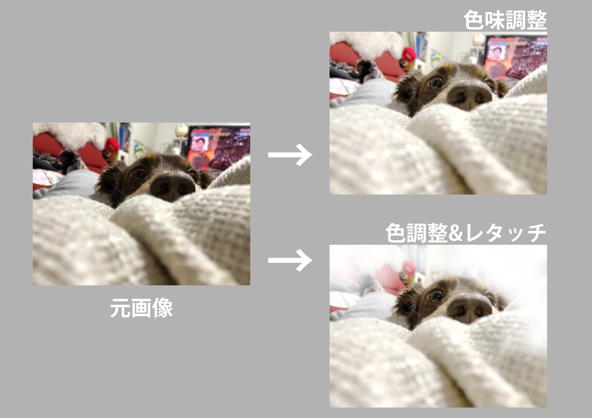 犬好きの方へ！写真アルバム製作します 小さめアルバム！とてもお得にわんちゃんのアルバム制作します♪ イメージ5