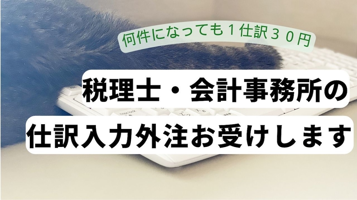 税理士・会計事務所の皆様。記帳業務を代行いたします 記帳業務の外注化で力を入れたい業務にもっと注力しませんか？ イメージ1
