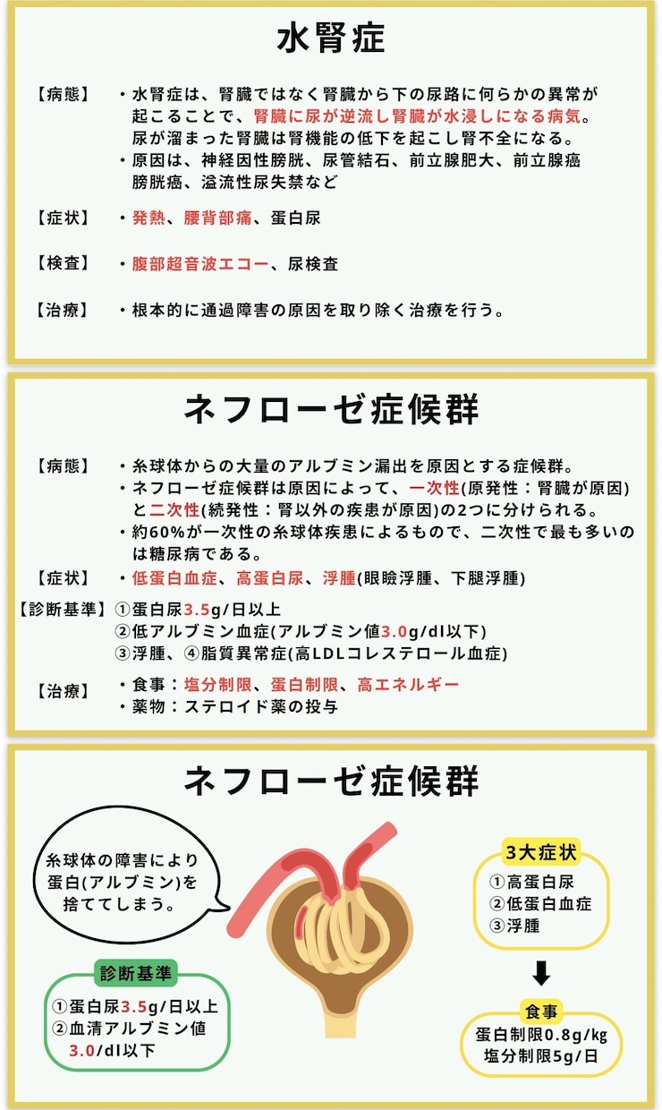 看護師国家試験 | 頻出疾患を徹底理解できます \効率よく勉強したいあなたへ/頻出疾患の要点をまとめた資料！ イメージ9