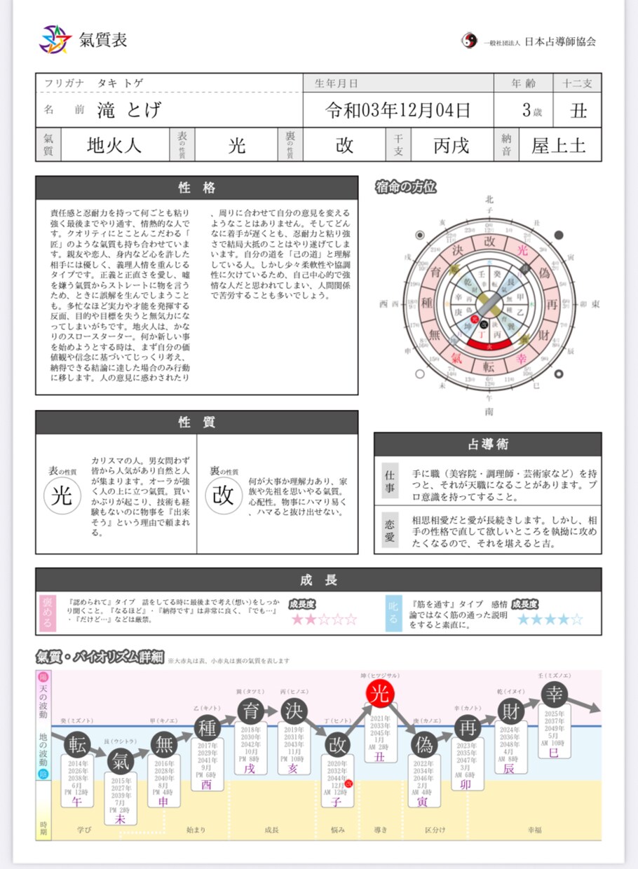 あなたの魂の設計図を読み解き導きます 陰陽六行×健康科学占導鑑定|心身の乱れ･人生の課題を総合的に イメージ7