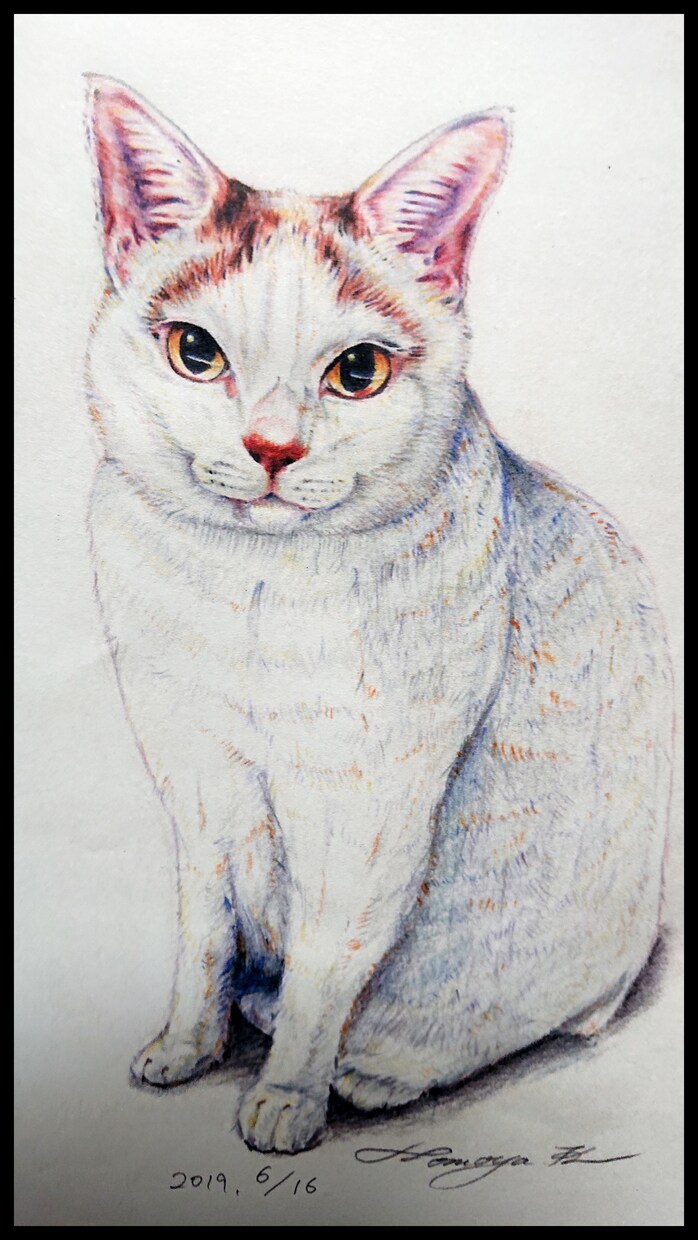 あなたの猫ちゃんをリアルに色鮮やかに描きます ご自宅に飾ったり、プレゼントやお祝いなどにもおすすめです！ イメージ3