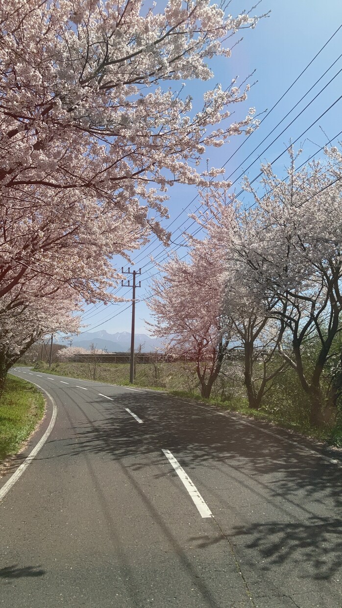 あなたの自慢話【電話】聞きます 自慢話聞かせてください、自己肯定感高めませんか、共感しましょ イメージ1
