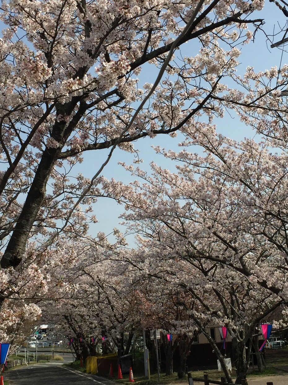 あなたのお話なんでも聞きます！癒します 元気が出ない、人に言えない悩みがある、自信がないあなたへ イメージ1