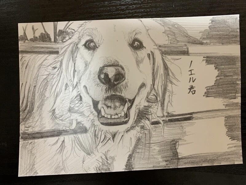 写真を超えた感動を。デッサン似顔絵を作成します プレゼントや記念に。鉛筆画・デッサンをお届けします。 イメージ10