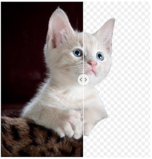 画像の背景削除や変更を承ります 面倒な画像の背景削除や変更ならわたしにお任せください イメージ1