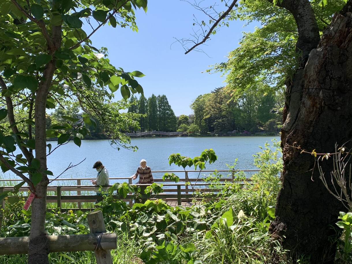 先生となって教えてください。あなたの生徒になります あなたの悩みや体験は、他の人ではできない貴重な学びです イメージ2