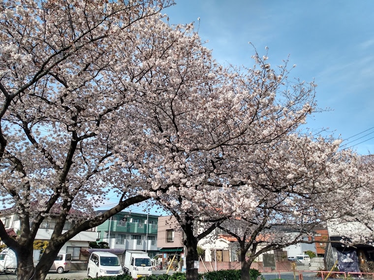 心理セラピー苦しみの原因を解き明かし楽になります 人はなぜ悩み苦しむのか、少しでも楽になるきっかけになれば イメージ1