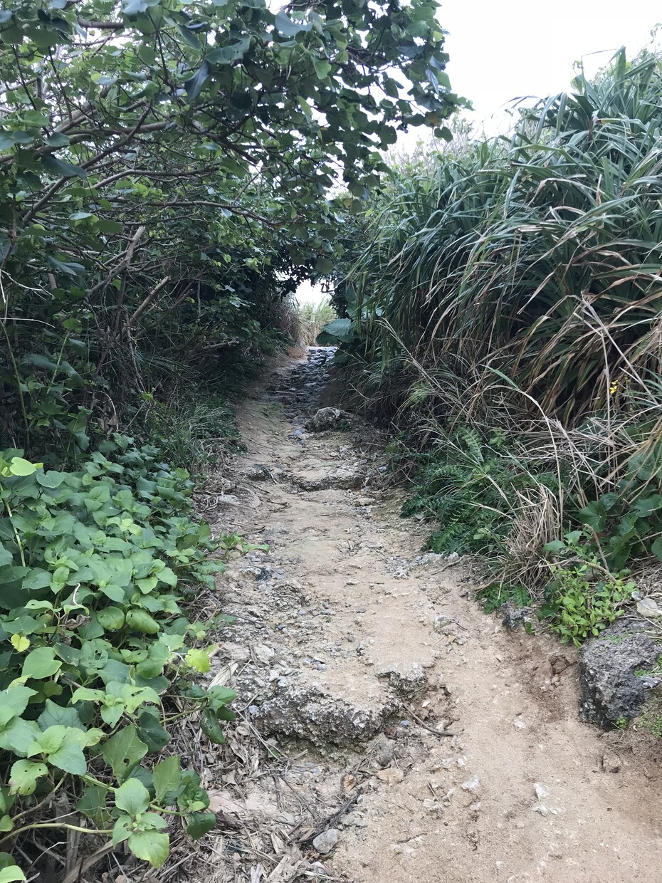 沖縄在住の僕がオススメ観光スポット色々教えます 旅行に来られる方や観光スポット穴場スポットにたどり着けない方 イメージ8