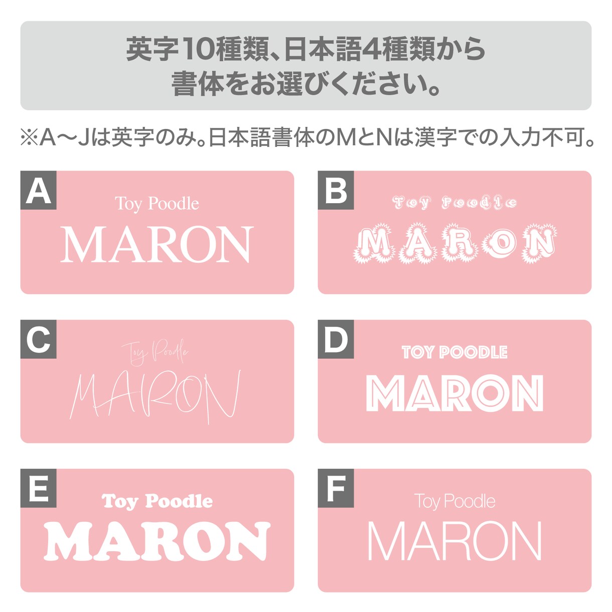 3匹用　シンプルデザイン　うちの子名刺お作りします 【両面印刷100枚】送料無料　セミオーダー　QRコード入り イメージ5