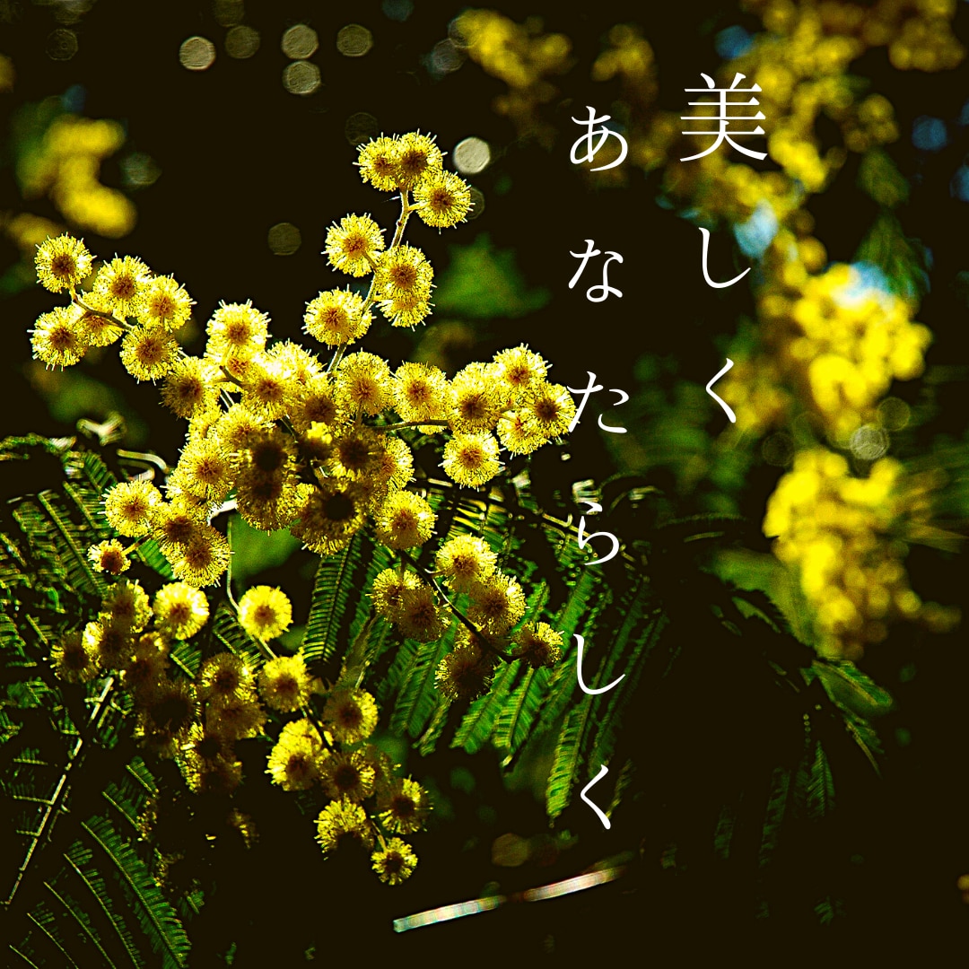 悩みが希望に変わると笑顔になります 気持ちを軽く波動も軽くし、欲しい未来を手にするお手伝いします イメージ7