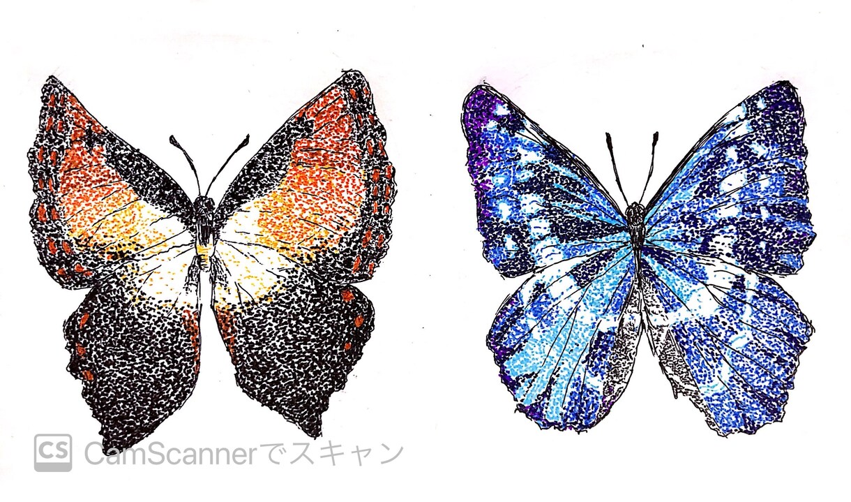 動植物や虫を描きます ボールペンならではの味わいをお楽しみください イメージ2