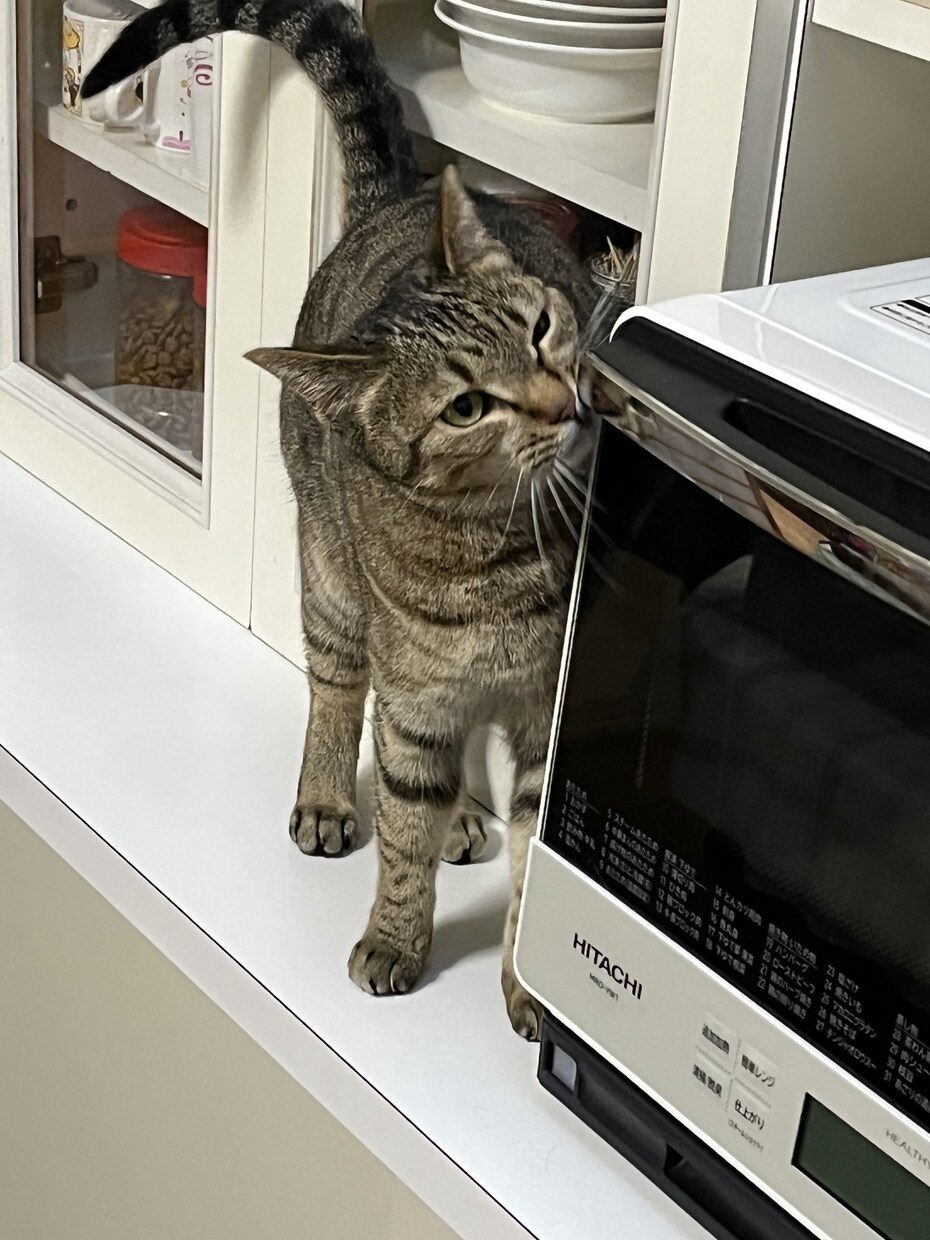 過去に病院に行くほど鬱になっています 今辛いひと、苦しい人、いつでも相談してください。 イメージ4