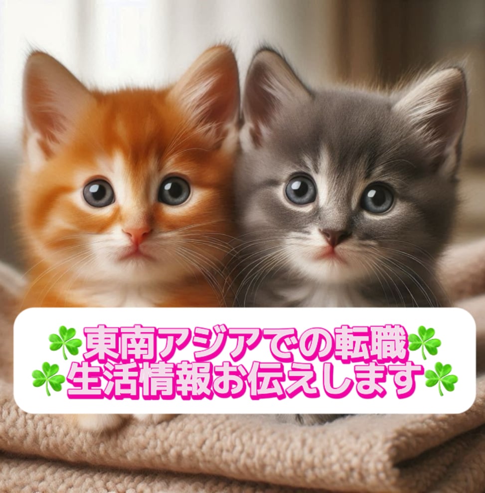東南アジアでの転職／生活☘️お話聴きます 東南アジアでの就職を考えている方へアドバイスします☘️ イメージ1