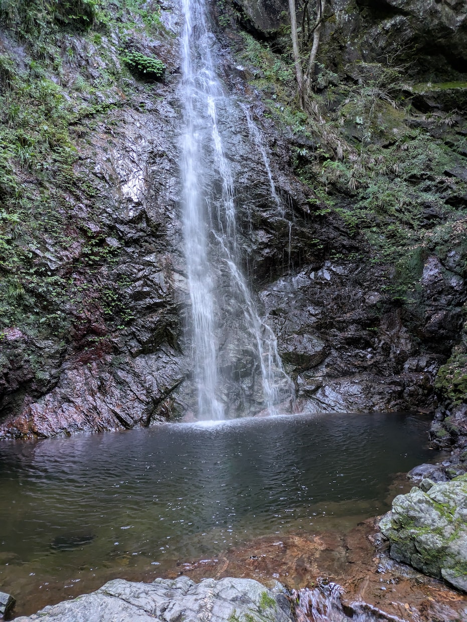九星気学で、基本運勢を占います 生年月日と血液型を使って、基本運勢と性格を占います！ イメージ2
