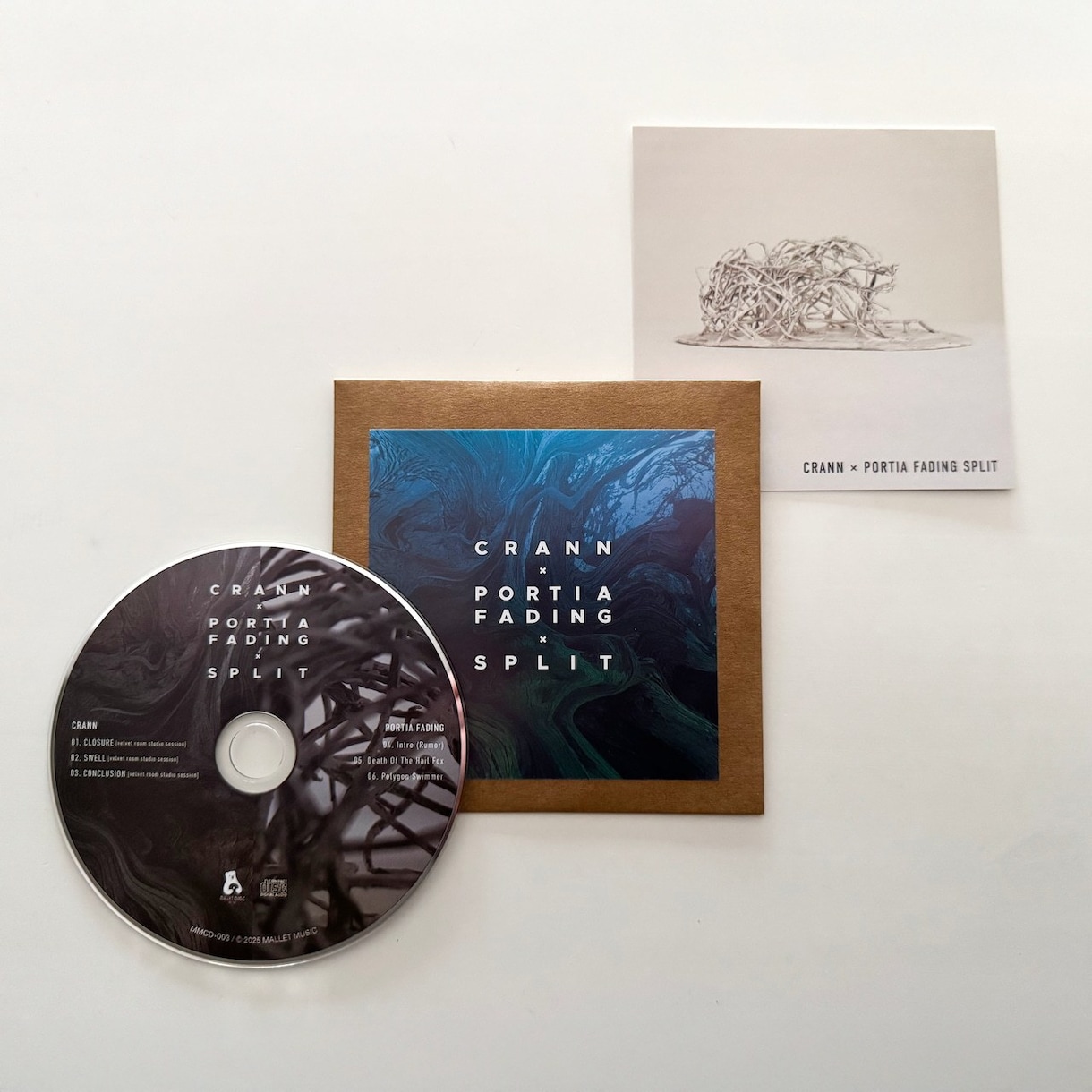 CDジャケット・歌詞カード・盤面デザインいたします 楽曲の世界観が伝わるCDデザインを一式デザイン制作します！ イメージ1
