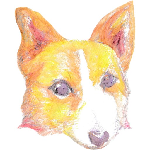 ペットの似顔絵描きます アナログでペットの似顔絵を描きます。 イメージ4