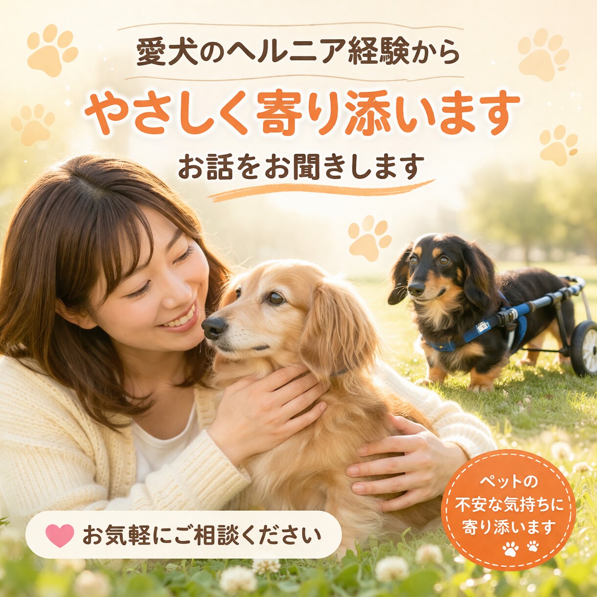 愛犬のヘルニア｜今やるケア方法ます 今の対応で、その後が変わることもあります イメージ1