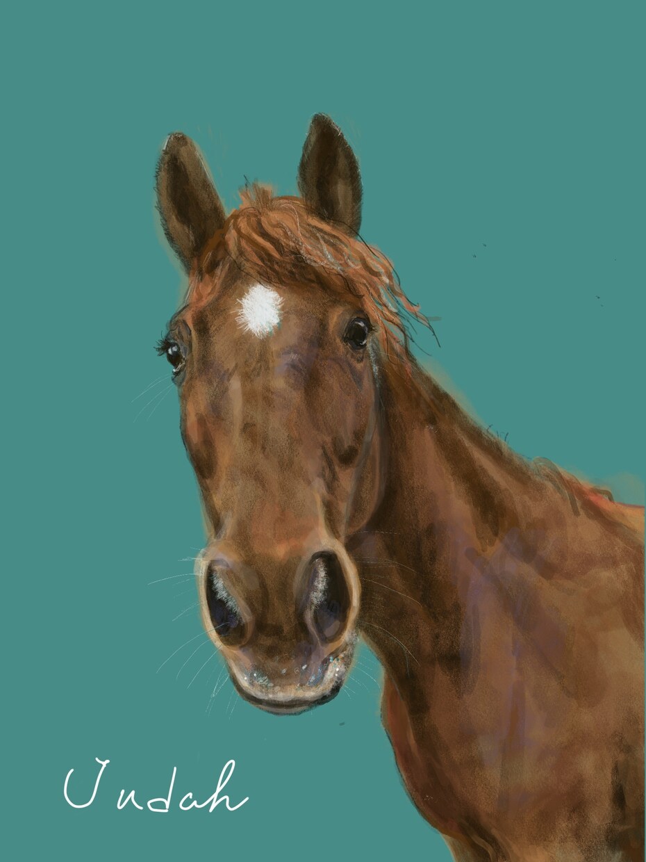 写真からご希望のイメージで詳細イラストを作成します 可愛い動物の残したいイメージ素敵なカードやバナーにも使えます イメージ9