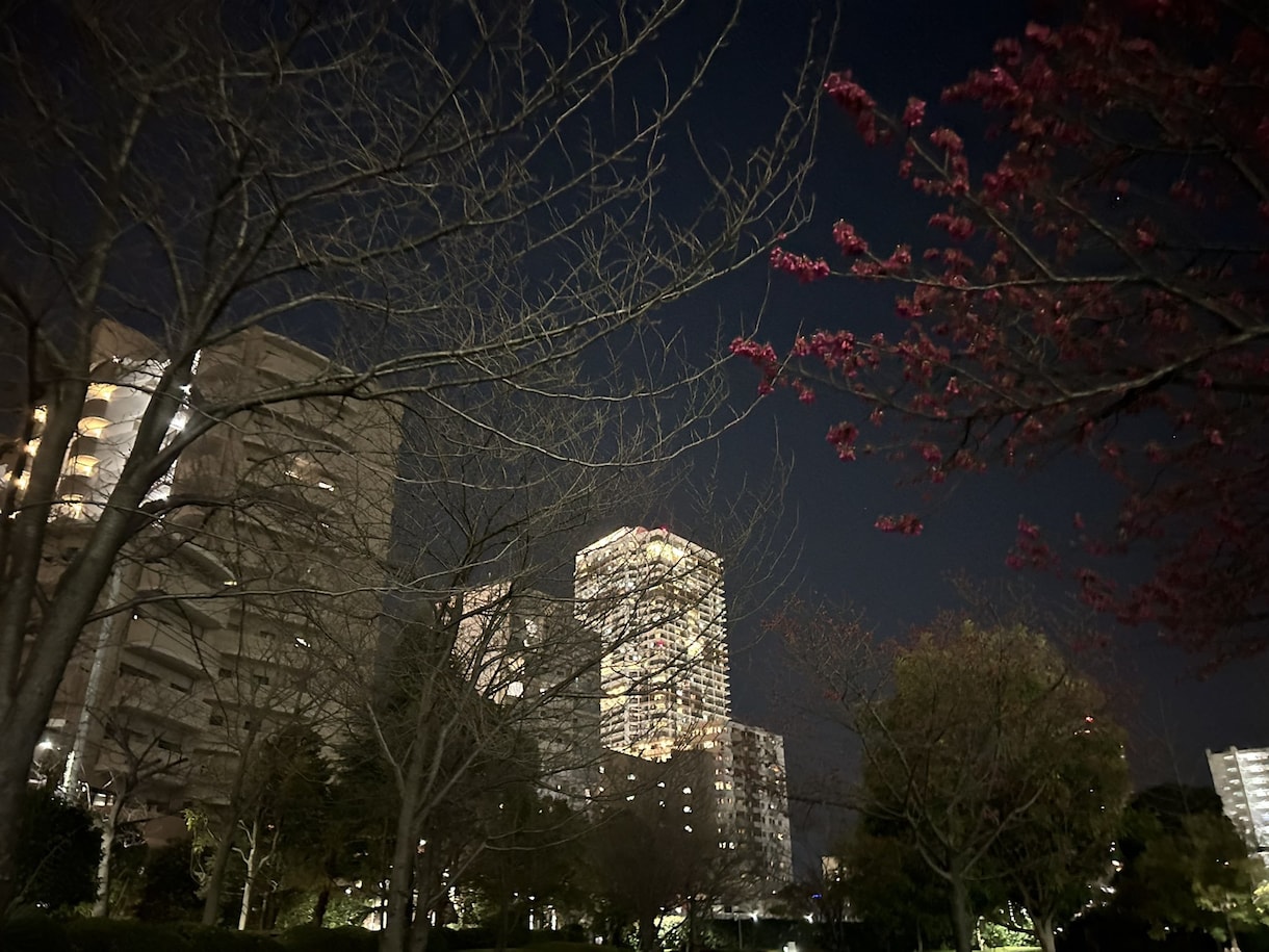 総務秘書があなたの悩みお聞きします どんな内容でもOK。業務効率化もできます。 イメージ1