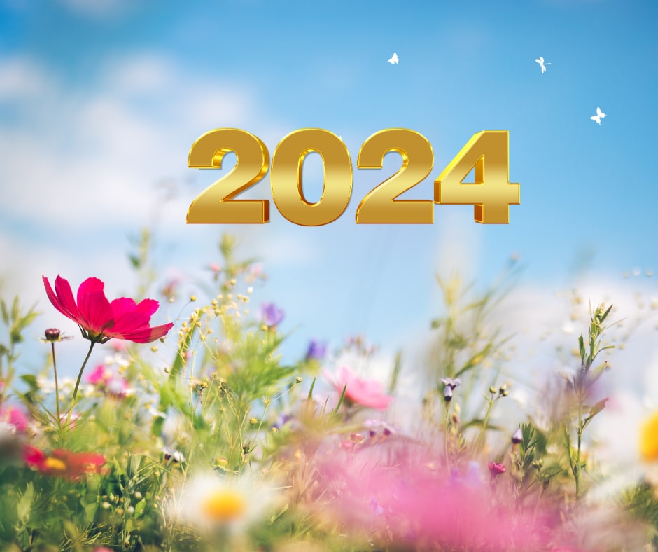 2024年はどうなる？あなたの総合運を鑑定します 幻の占術で開運！あなたの気になる2024年を徹底的に解明 イメージ1