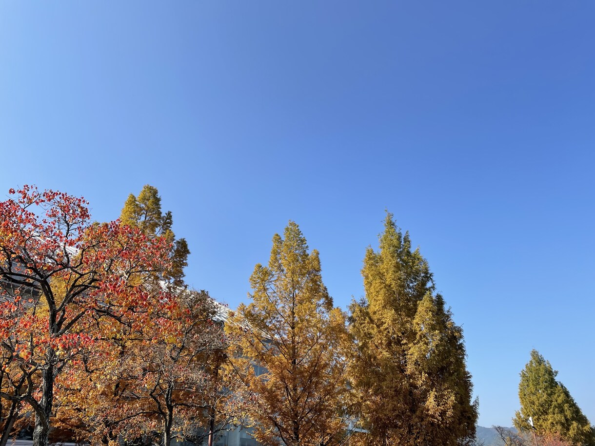 秋の風景写真、5枚→10枚提供します 加工、商用利用OK！各種静止画投稿・動画の背景に使えます イメージ3