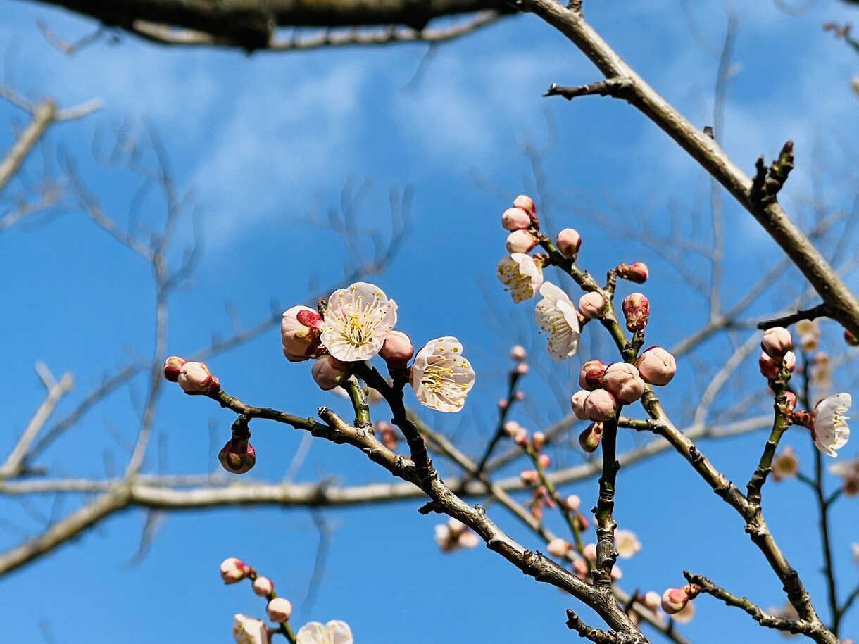 誰かに言いたいあの話、モヤモヤ、傾聴します 誰かに聴いて欲しいモヤモヤ、自慢話、惚気などを受け付けます。 イメージ1