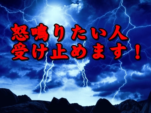 怒鳴りたい人、受け止めます 怒鳴りたくてたまらない人、どうか吐き出して下さい！ イメージ7