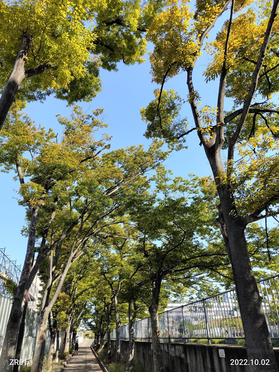 ちょっと愚痴をこぼしたい時１分でもお聞きします お試し１分から、違うかな？と思ったら途中で切って構わないです イメージ7
